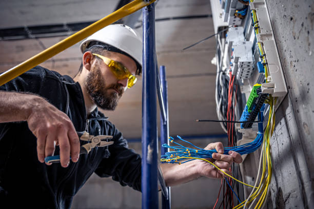 Best Electric Panel Repair  in Fair Oaks, CA